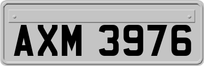 AXM3976