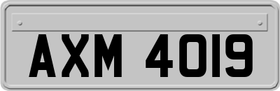 AXM4019