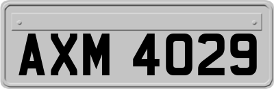 AXM4029