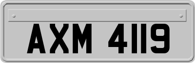 AXM4119