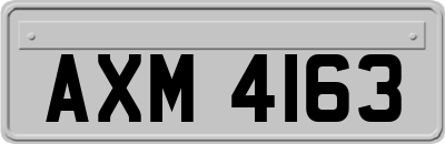 AXM4163