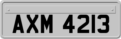 AXM4213