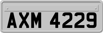 AXM4229