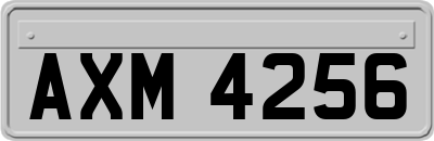 AXM4256