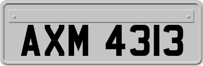 AXM4313