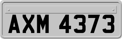 AXM4373