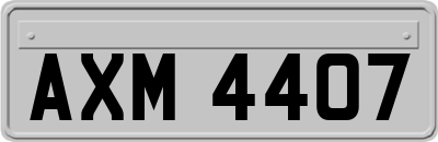 AXM4407
