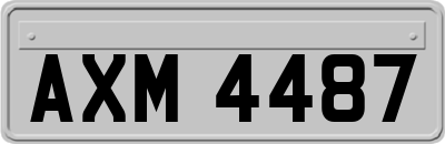 AXM4487