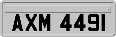 AXM4491