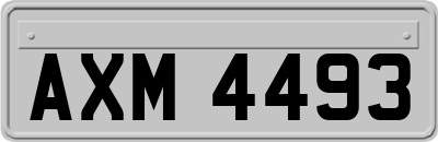 AXM4493