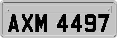 AXM4497