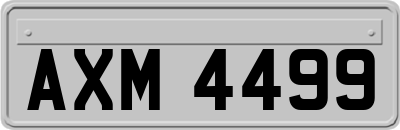 AXM4499