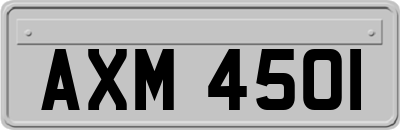 AXM4501