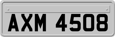 AXM4508