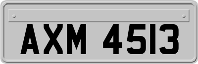 AXM4513