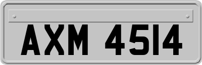 AXM4514