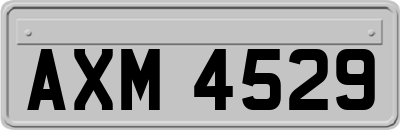 AXM4529