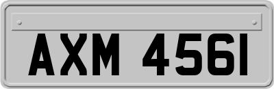 AXM4561