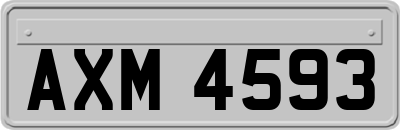 AXM4593