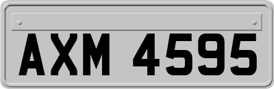 AXM4595