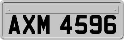 AXM4596