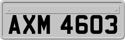 AXM4603