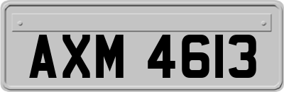 AXM4613