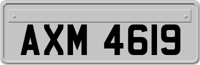 AXM4619