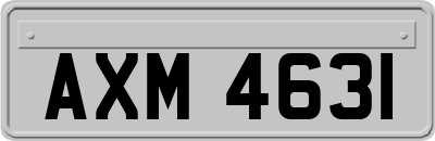 AXM4631