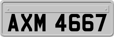 AXM4667