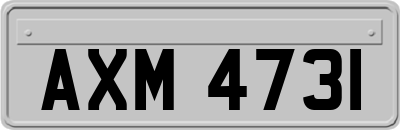 AXM4731