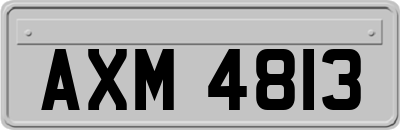 AXM4813