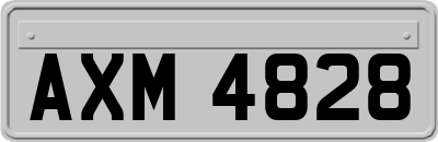 AXM4828