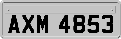 AXM4853
