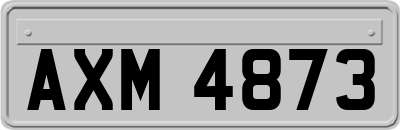 AXM4873