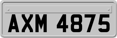 AXM4875