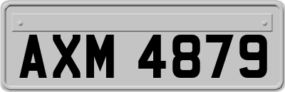 AXM4879