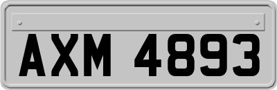 AXM4893