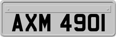 AXM4901