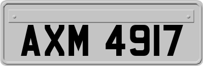 AXM4917