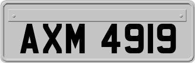 AXM4919