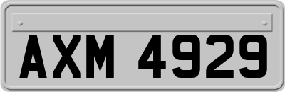 AXM4929