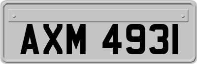 AXM4931
