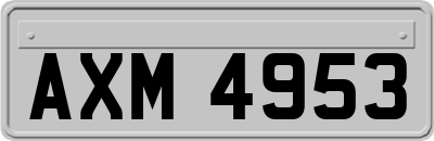 AXM4953