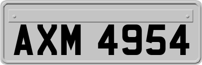AXM4954