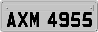 AXM4955