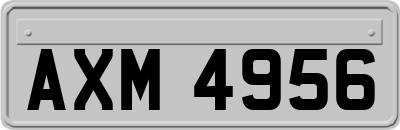 AXM4956