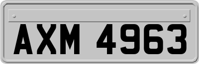 AXM4963