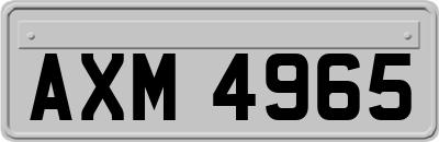 AXM4965