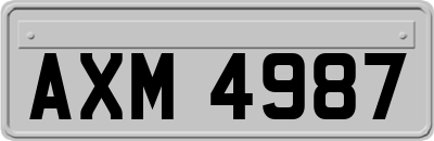 AXM4987